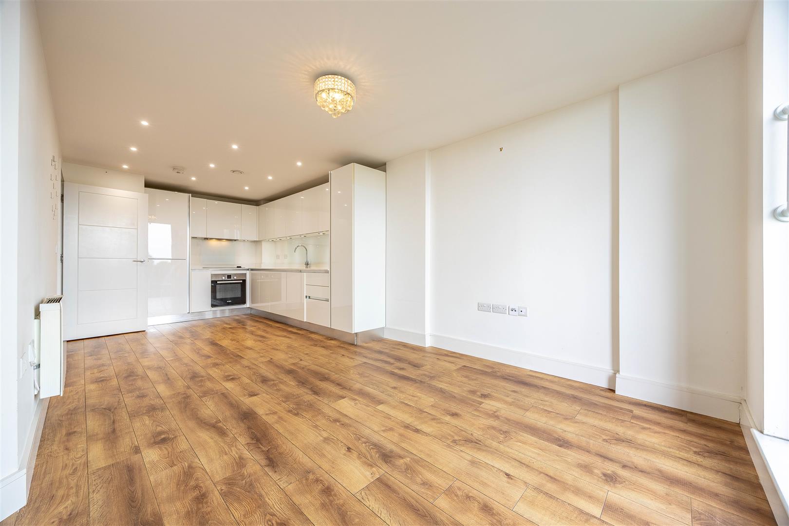Kitchen/Living Room